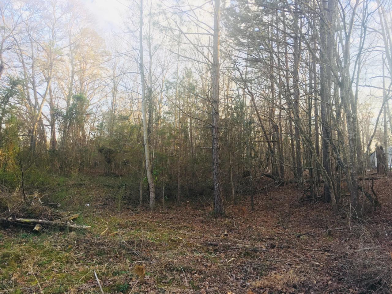 Tbd Simmons Road - Photo 1