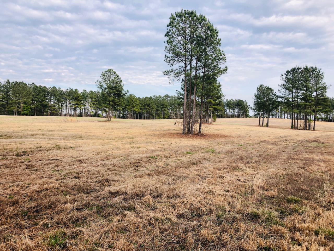 135 Whistle Hill Road - Photo 1
