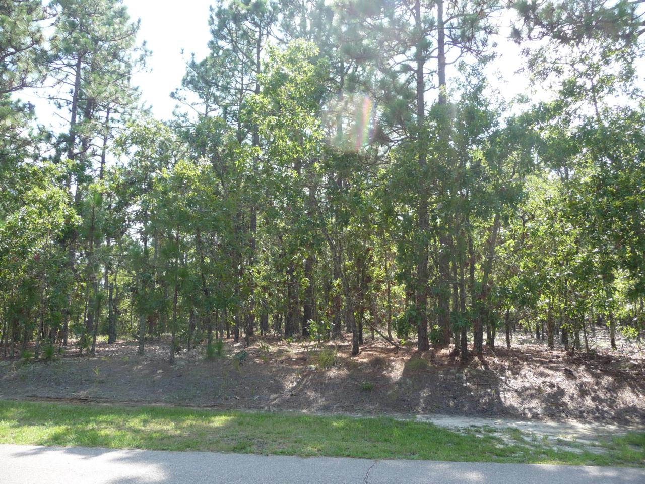 855 Lake Dornoch Drive - Photo 1