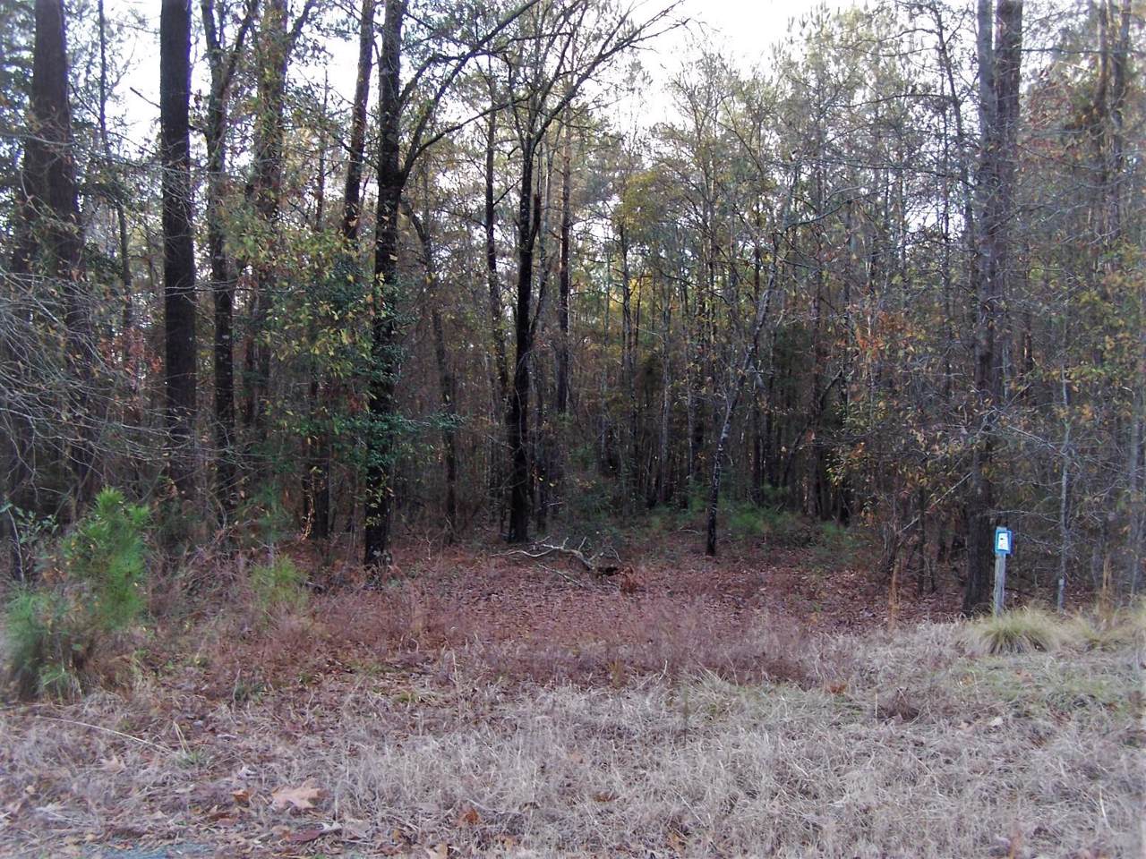 Tbd North State Lane - Photo 1