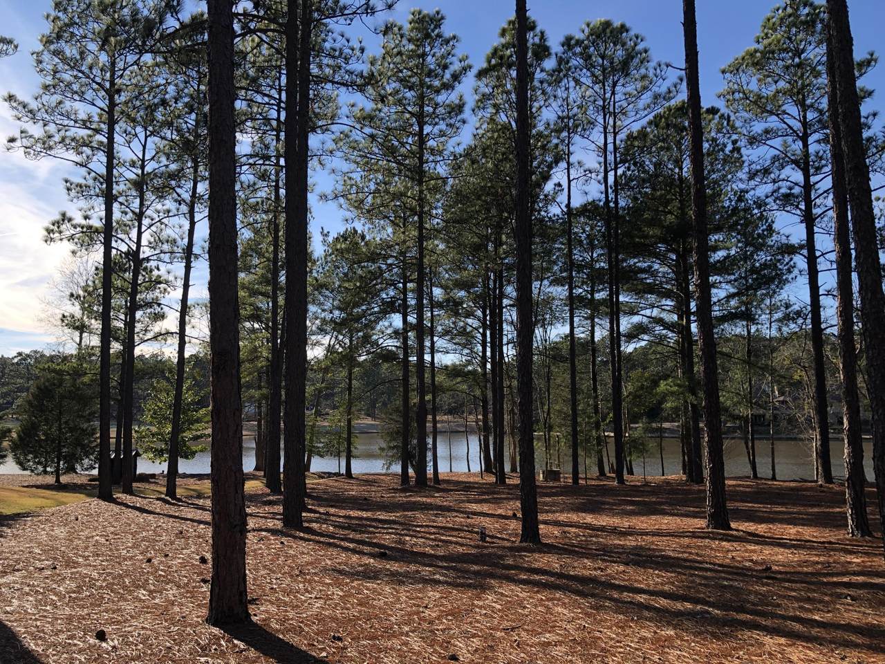 90 Redtail Lane - Photo 1