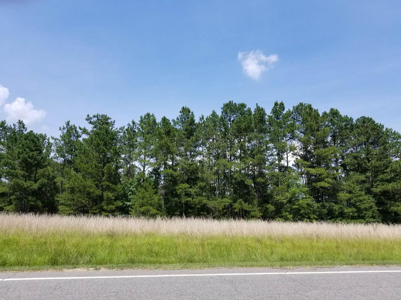 Lot#3 Beulah Hill Church Road - Photo 1