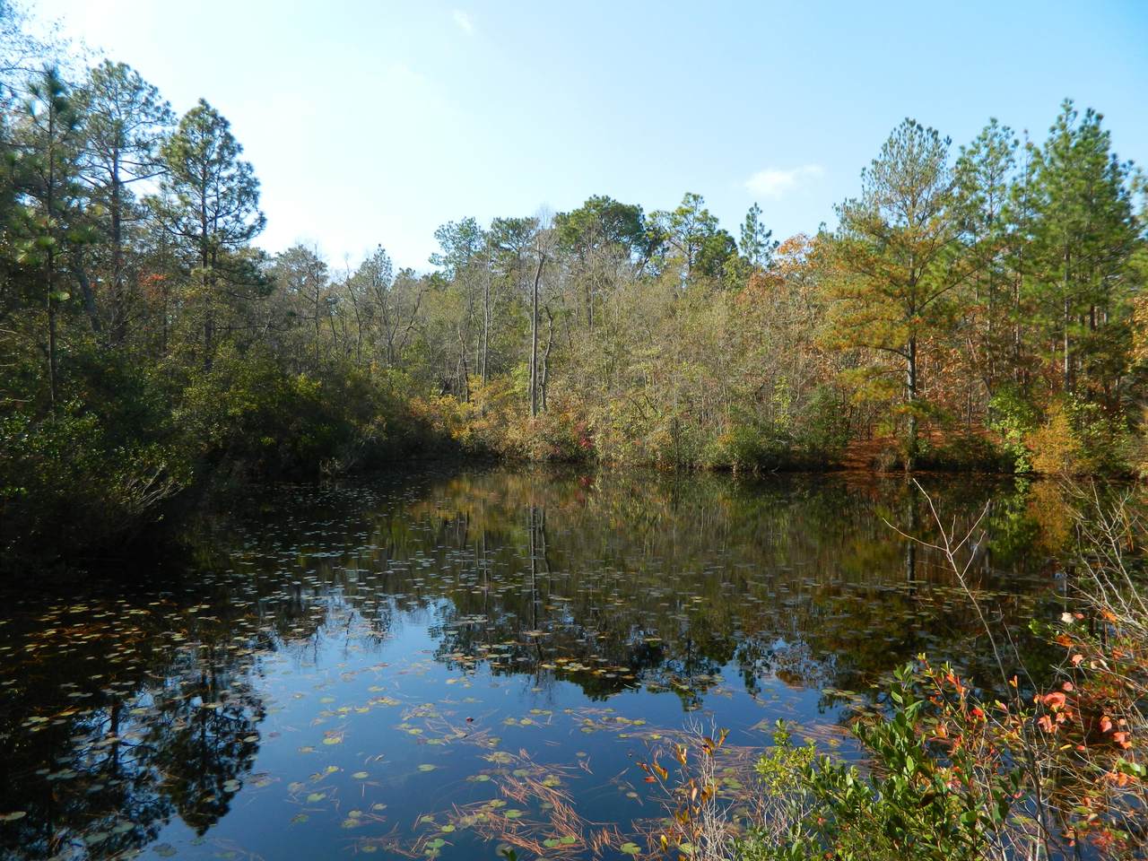 178 Laurel Oak Lane - Photo 1