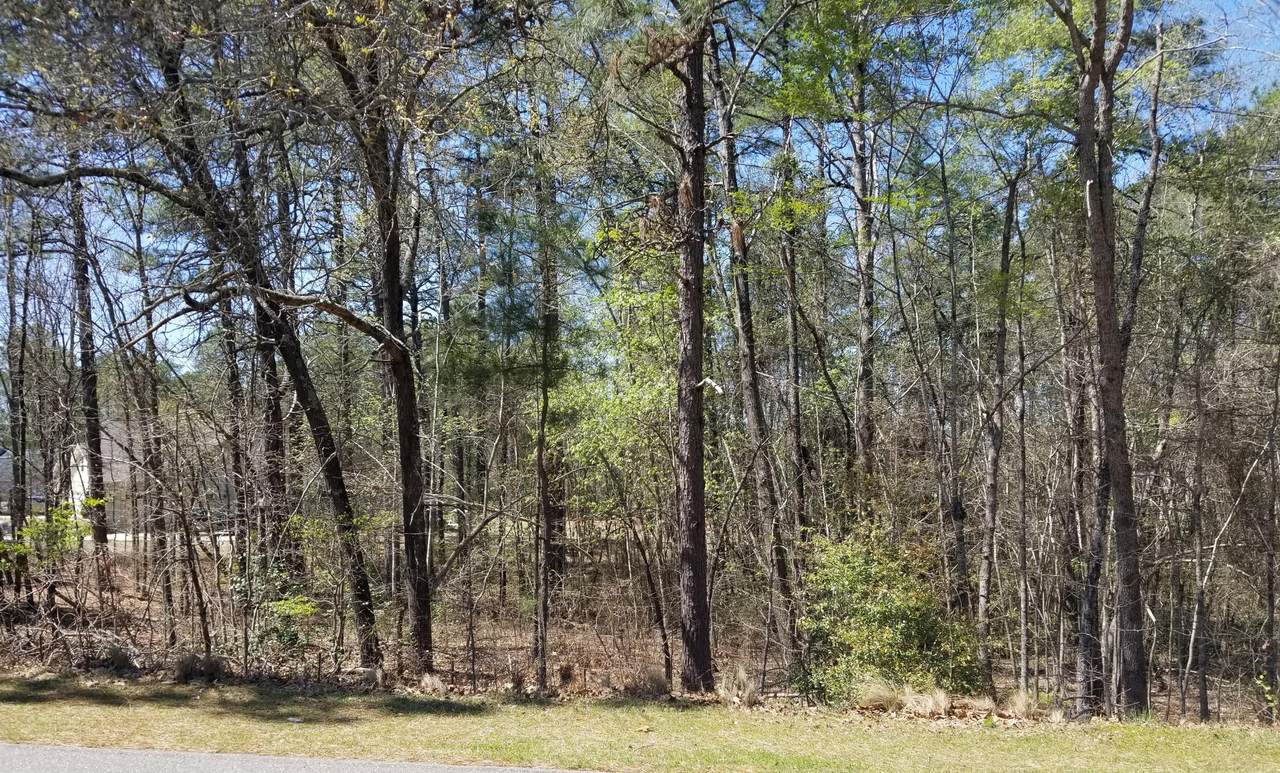 Tbd Juniper Creek Boulevard - Photo 1