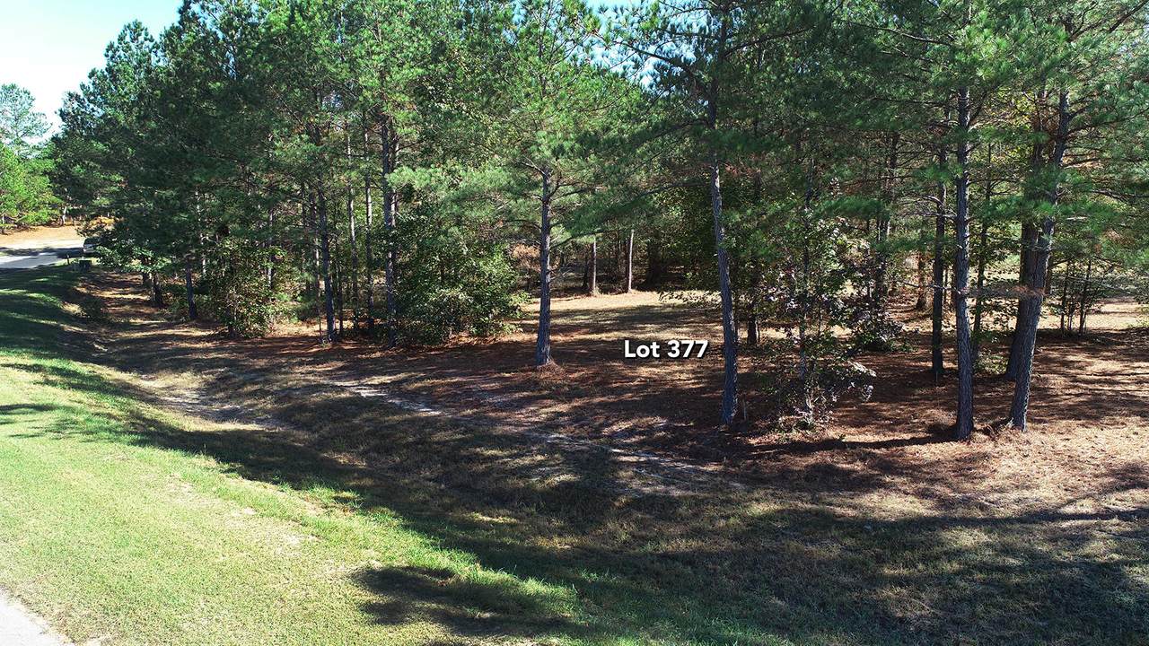 367 Cristys - Photo 1