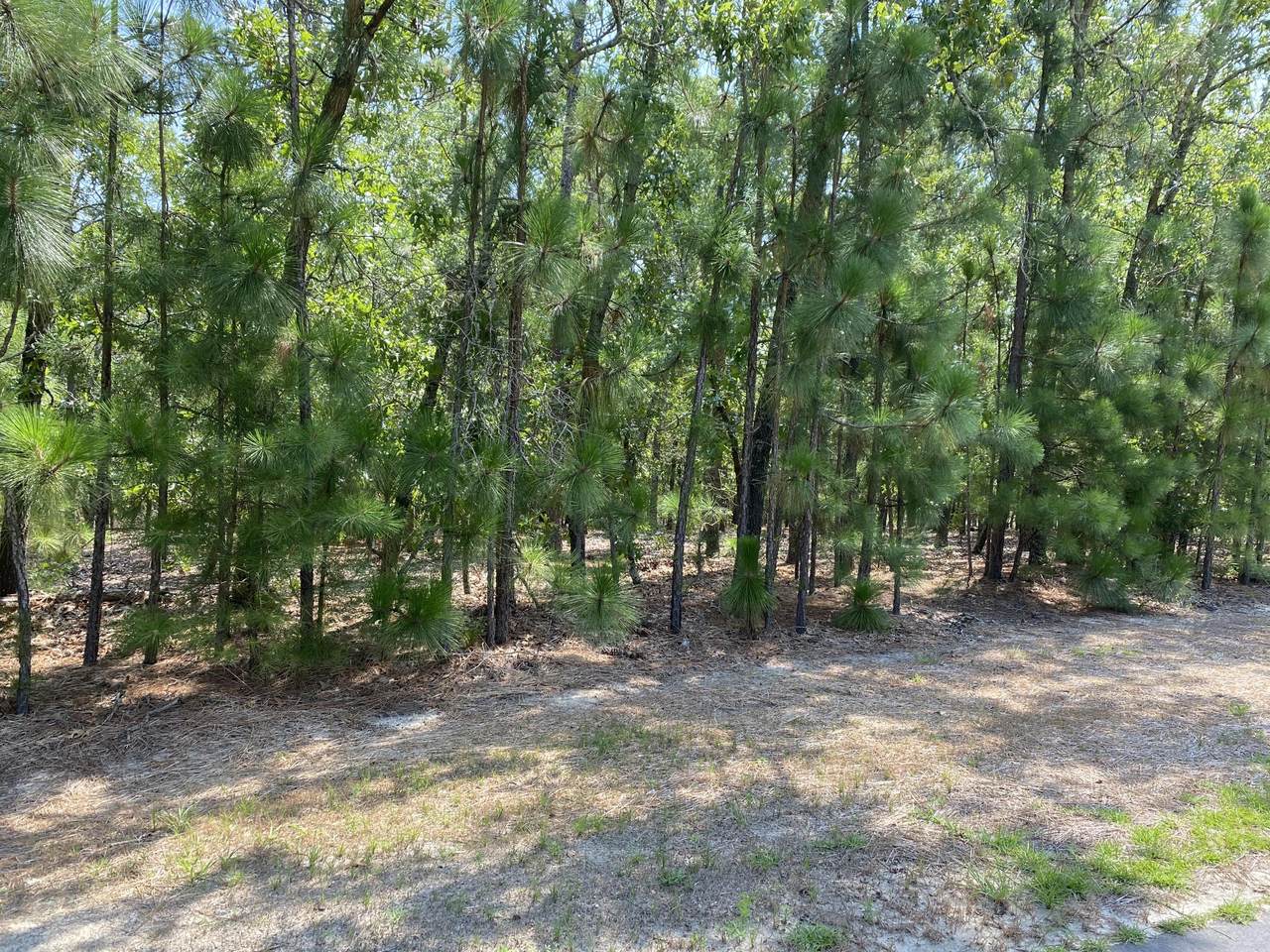 30 Cherry Hill Drive - Photo 1