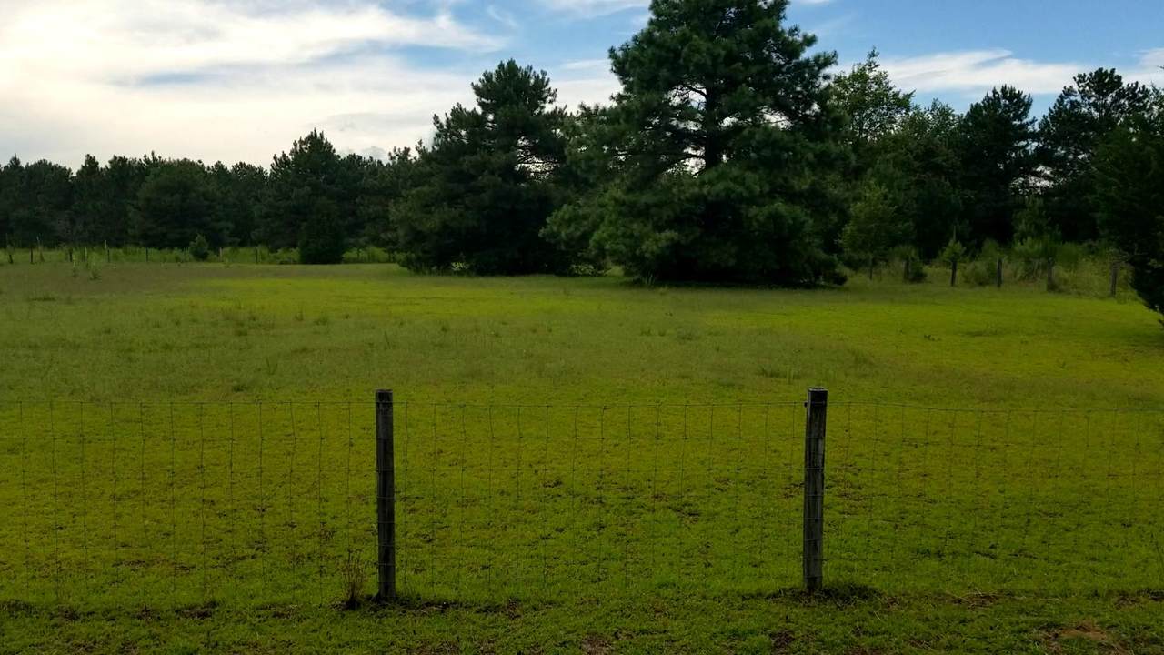 6644 Nc Highway 73 - Photo 1
