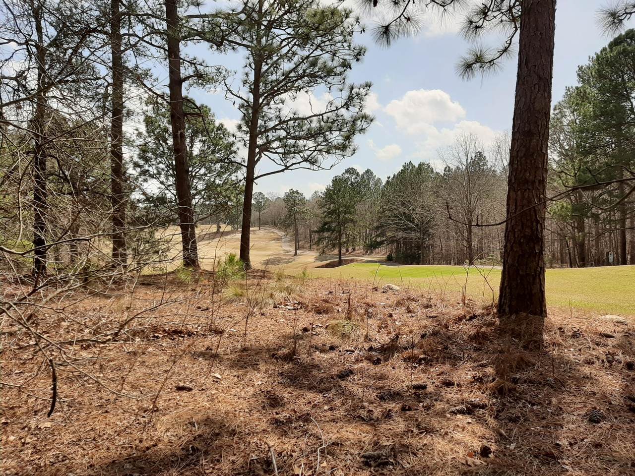 Tbd Woodland Circle - Photo 1