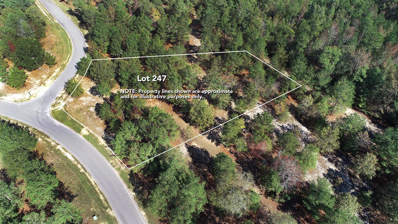 282 Cristys Circle - Photo 1