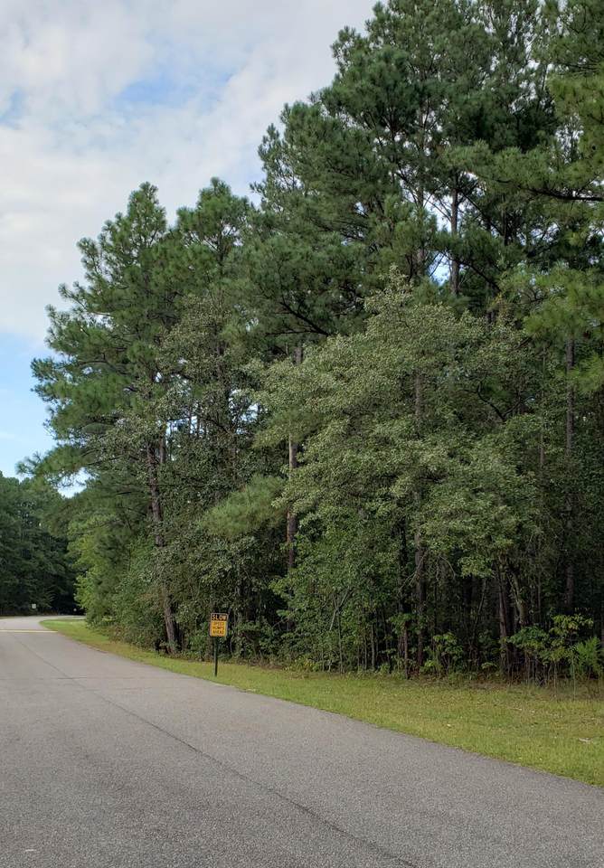 Lot 3 Deercroft Drive - Photo 1