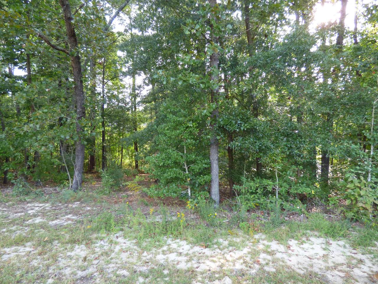 4 Barkley Lane - Photo 1