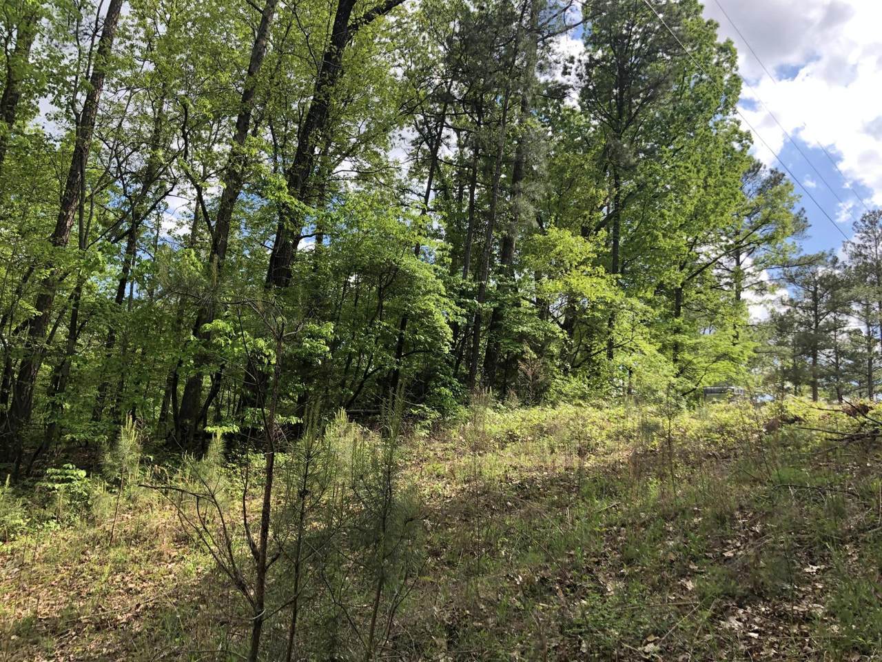 0 Country Ridge Lane - Photo 1