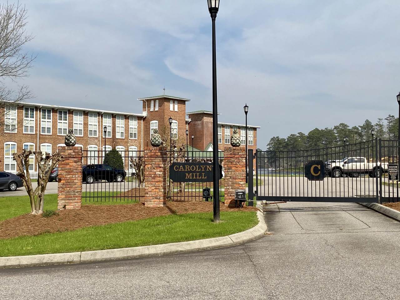 213 Carolyns Mill Place - Photo 1