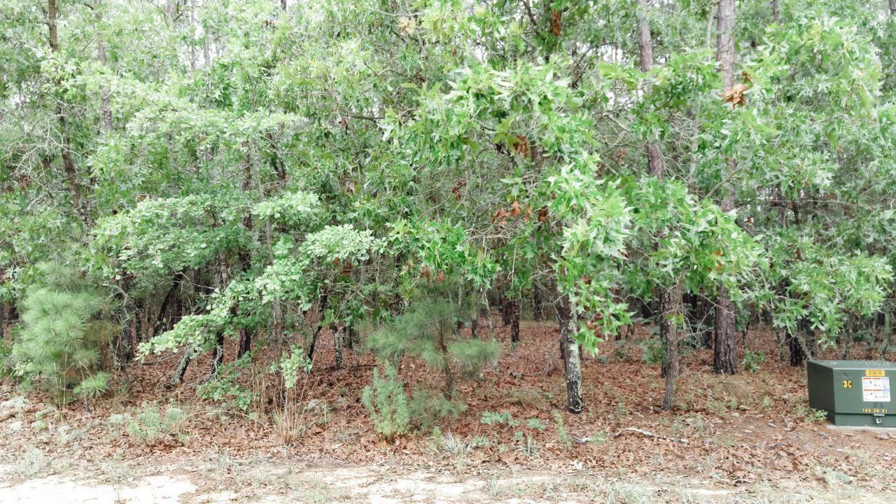 15820 Wildlife Lane - Photo 1