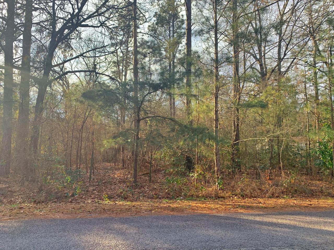 195 Rice Road - Photo 1