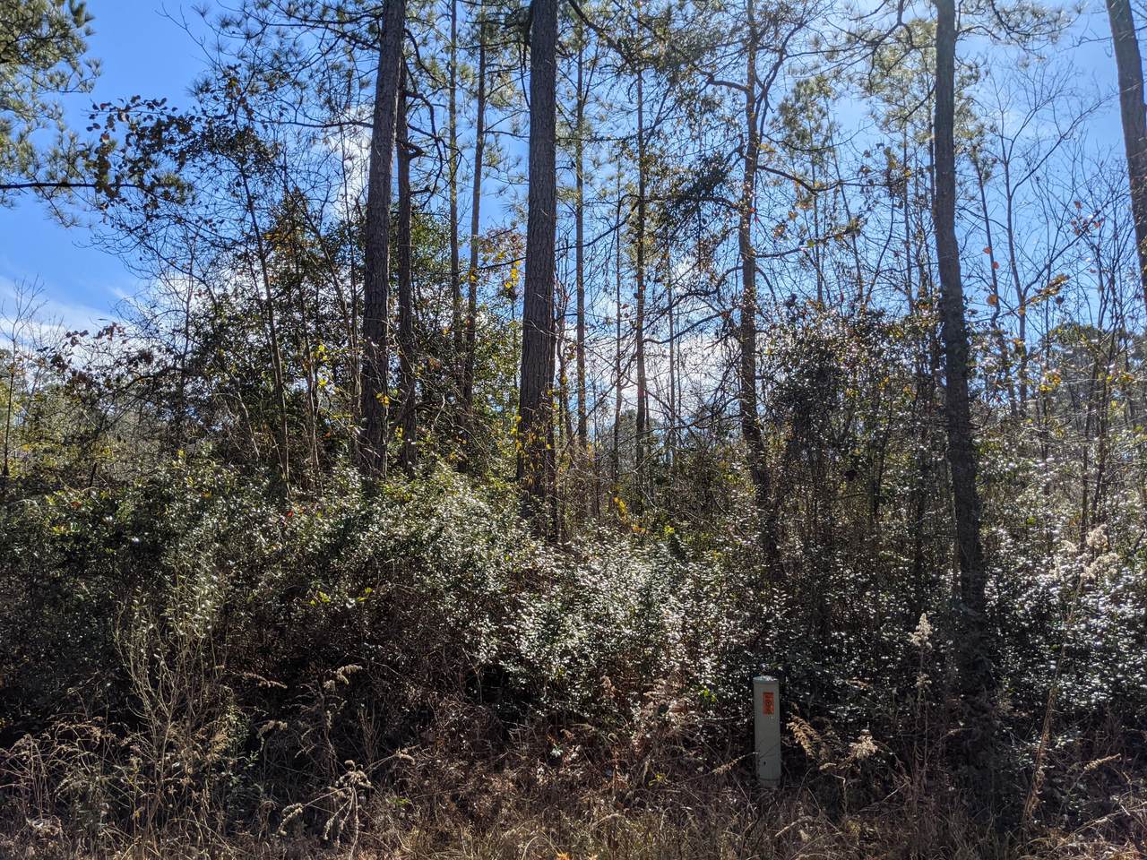 Lots 4 & 5 Summer Creek Trail - Photo 1