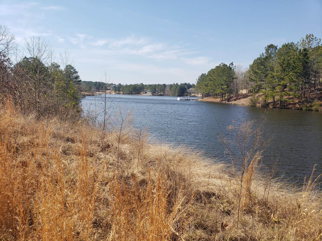 155 Troys Point - Photo 1