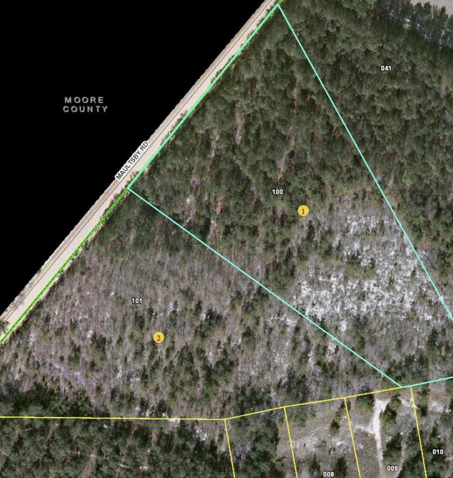 Tbd Maultsby Road - Photo 1