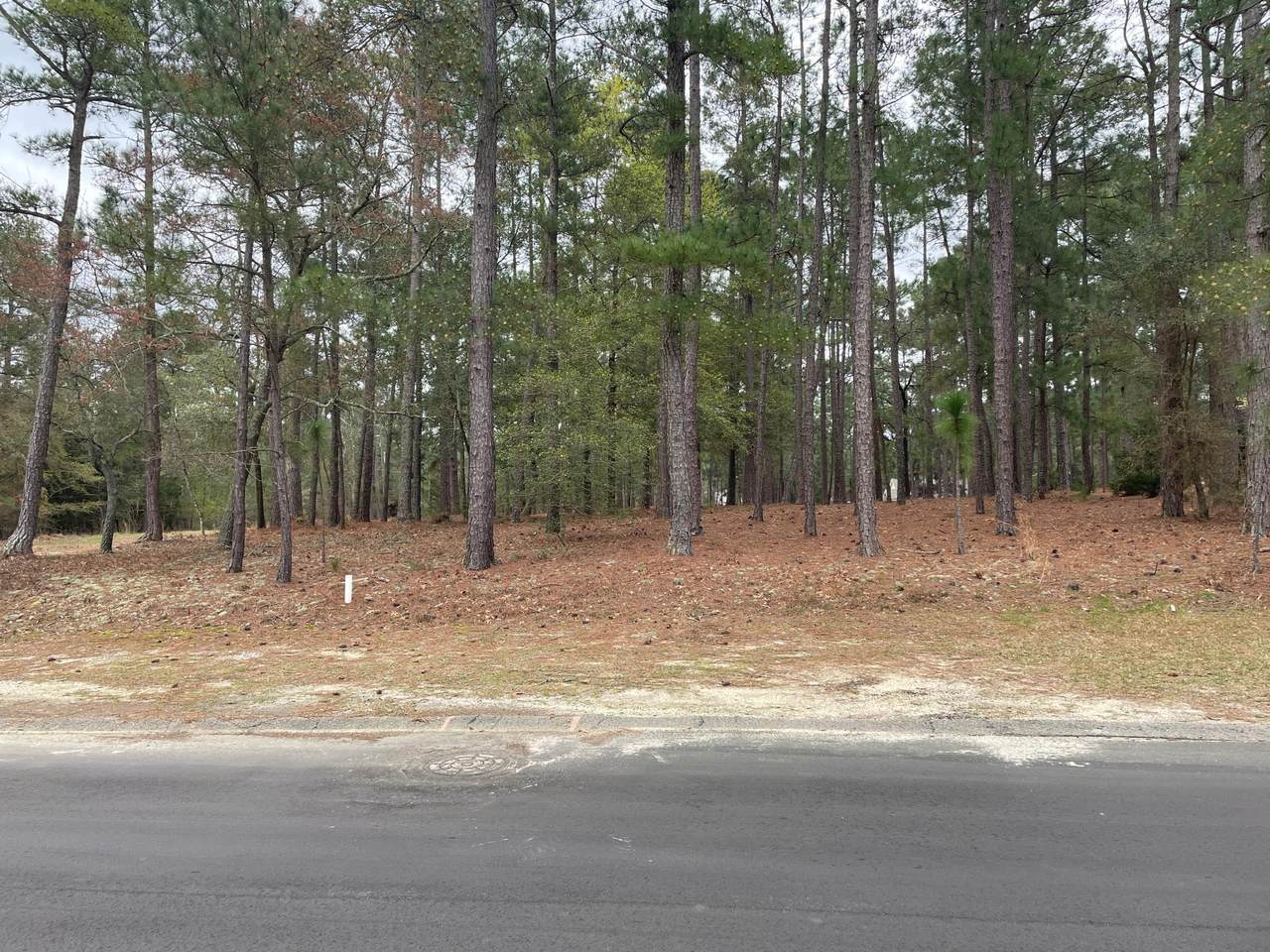 11 Devon Drive - Photo 1