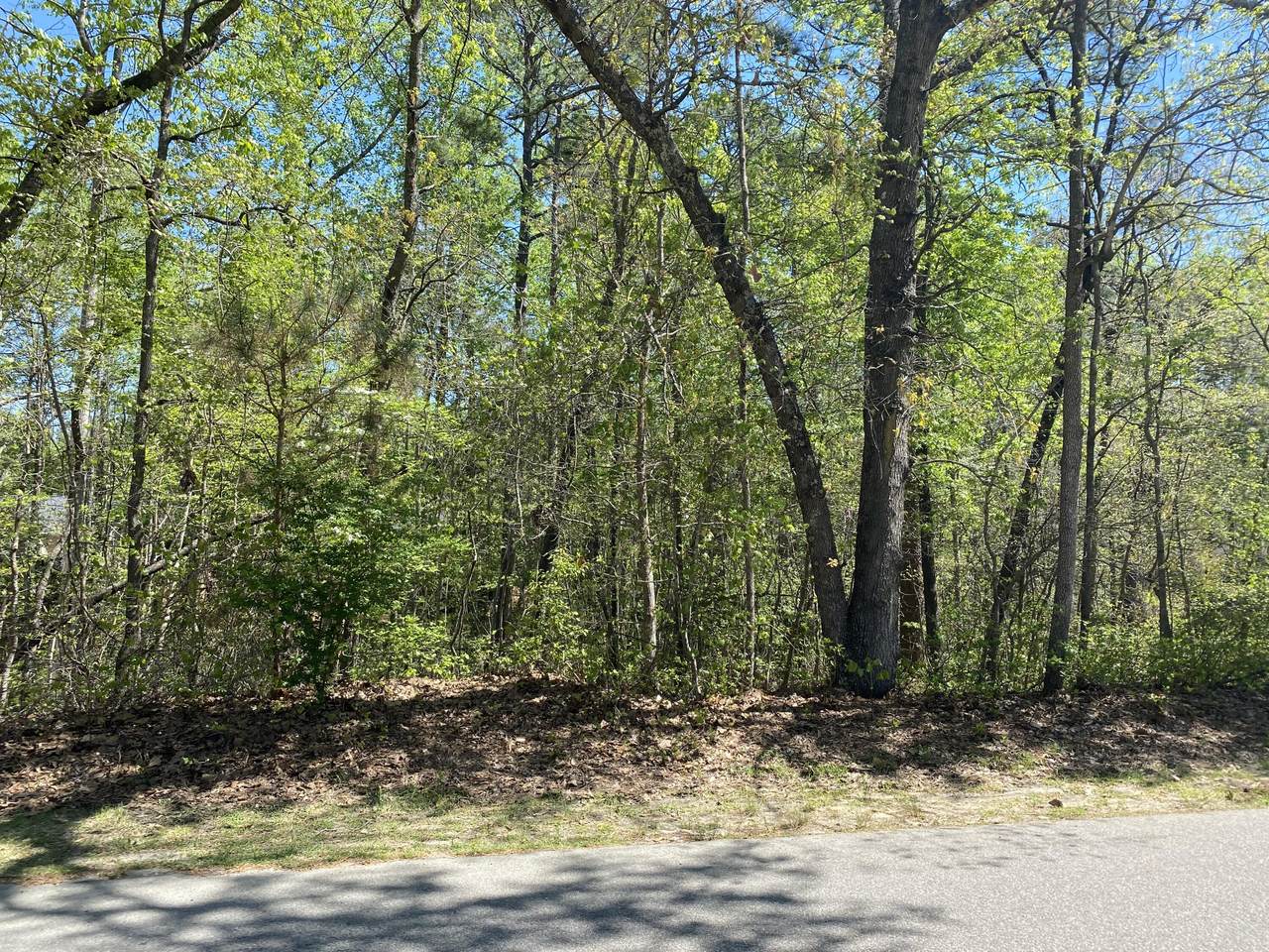 185 Canter Lane - Photo 1
