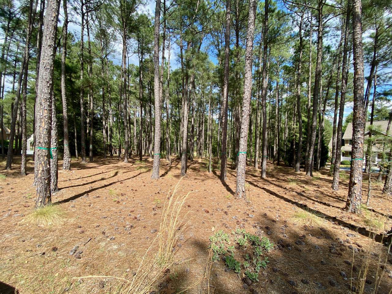81 Abbottsford Drive - Photo 1