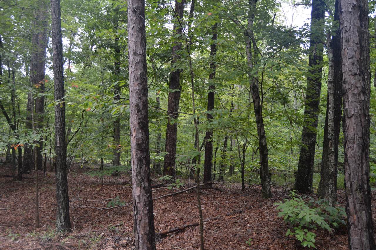Tbd Winding Creek Drive - Photo 1