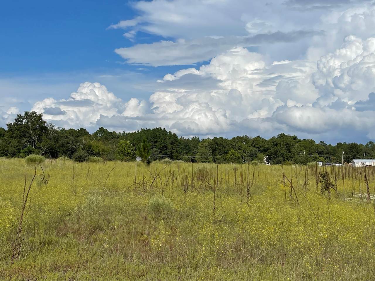 Tbd Freeman Mill Road - Photo 1