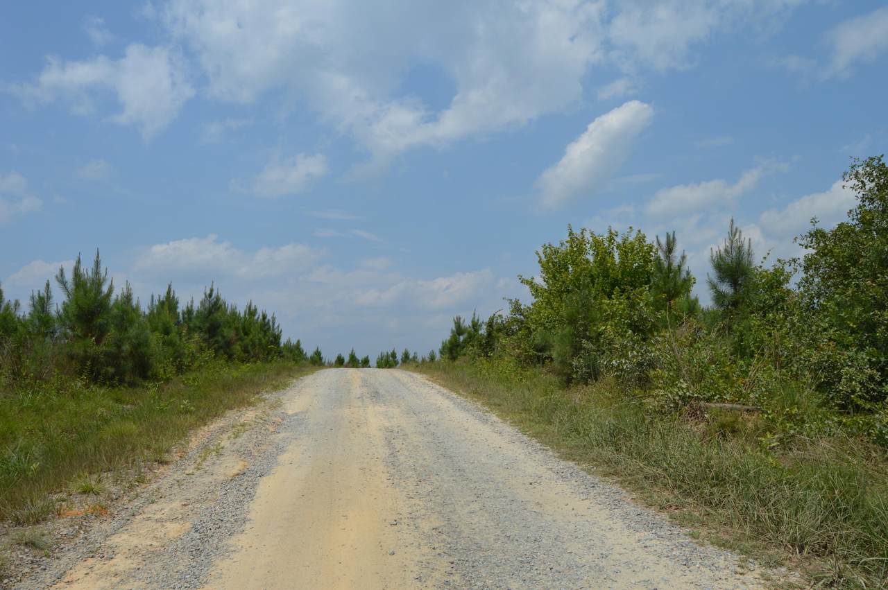 Tbd Winding Creek Road - Photo 1