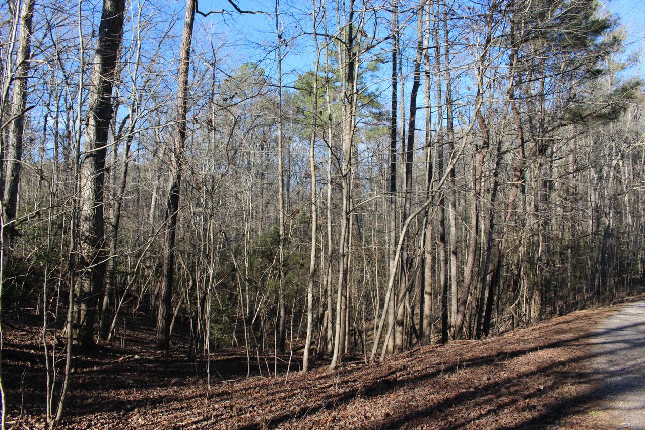 Lot 67 Palomino Dr - Photo 1