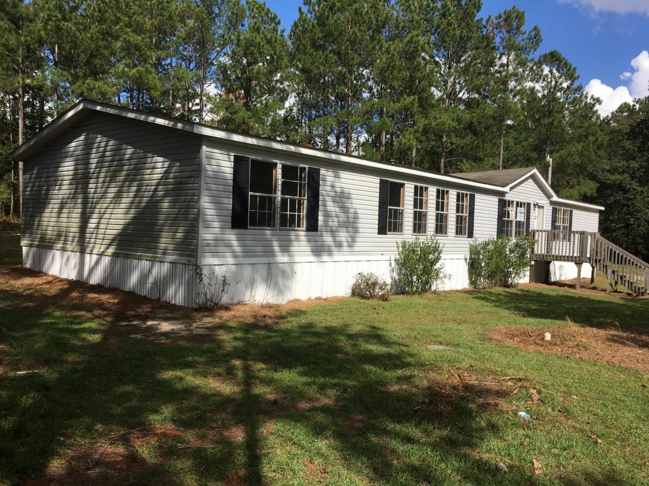 118 Michael Mazyck Road - Photo 1
