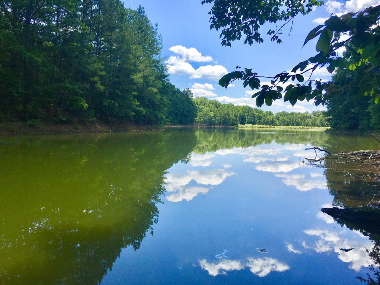 Lot 117 Palomino Road - Photo 1