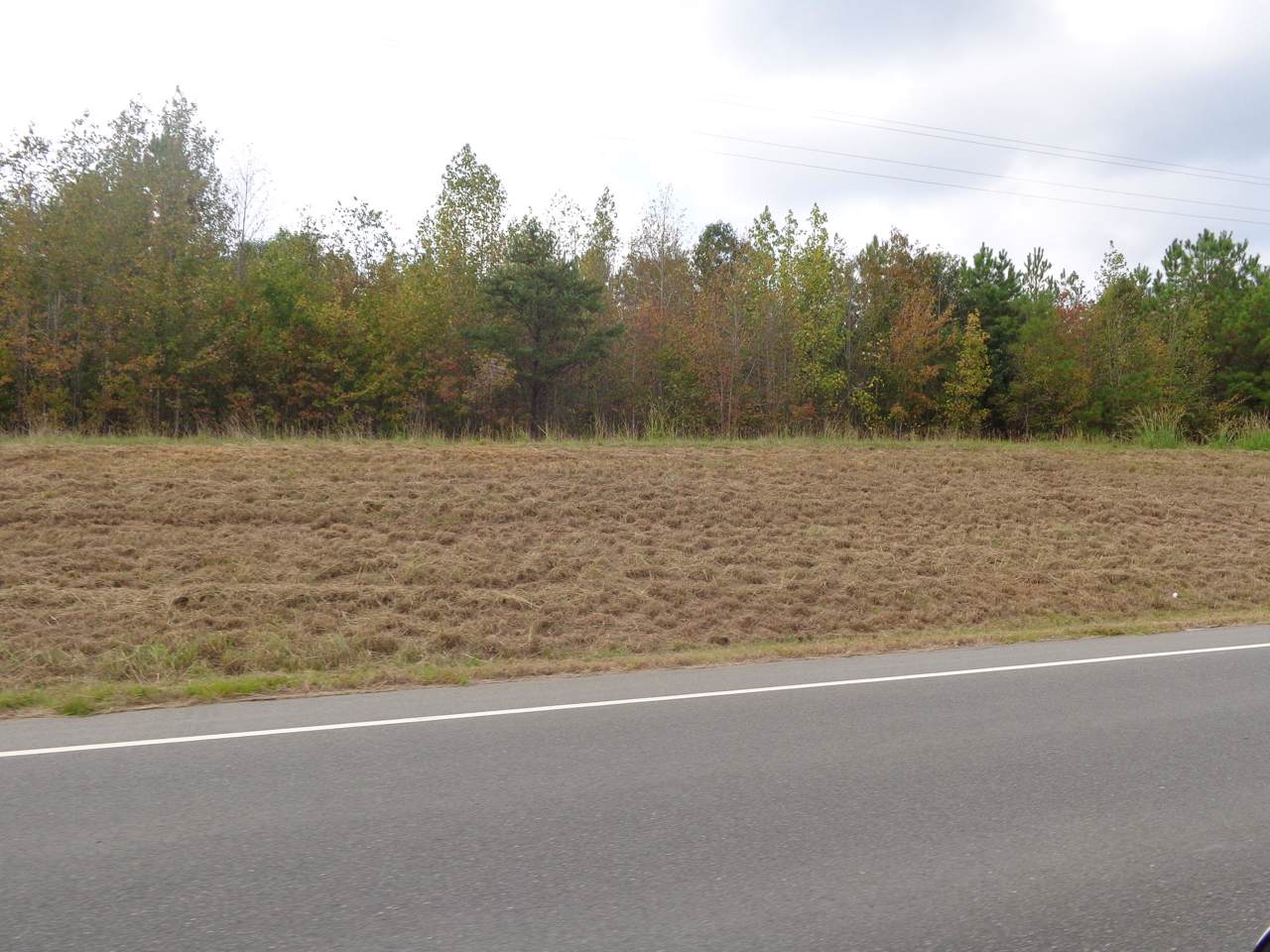 Tbd Old Woods Road - Photo 1