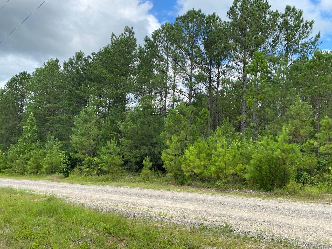 363 Summer Creek Trail - Photo 1