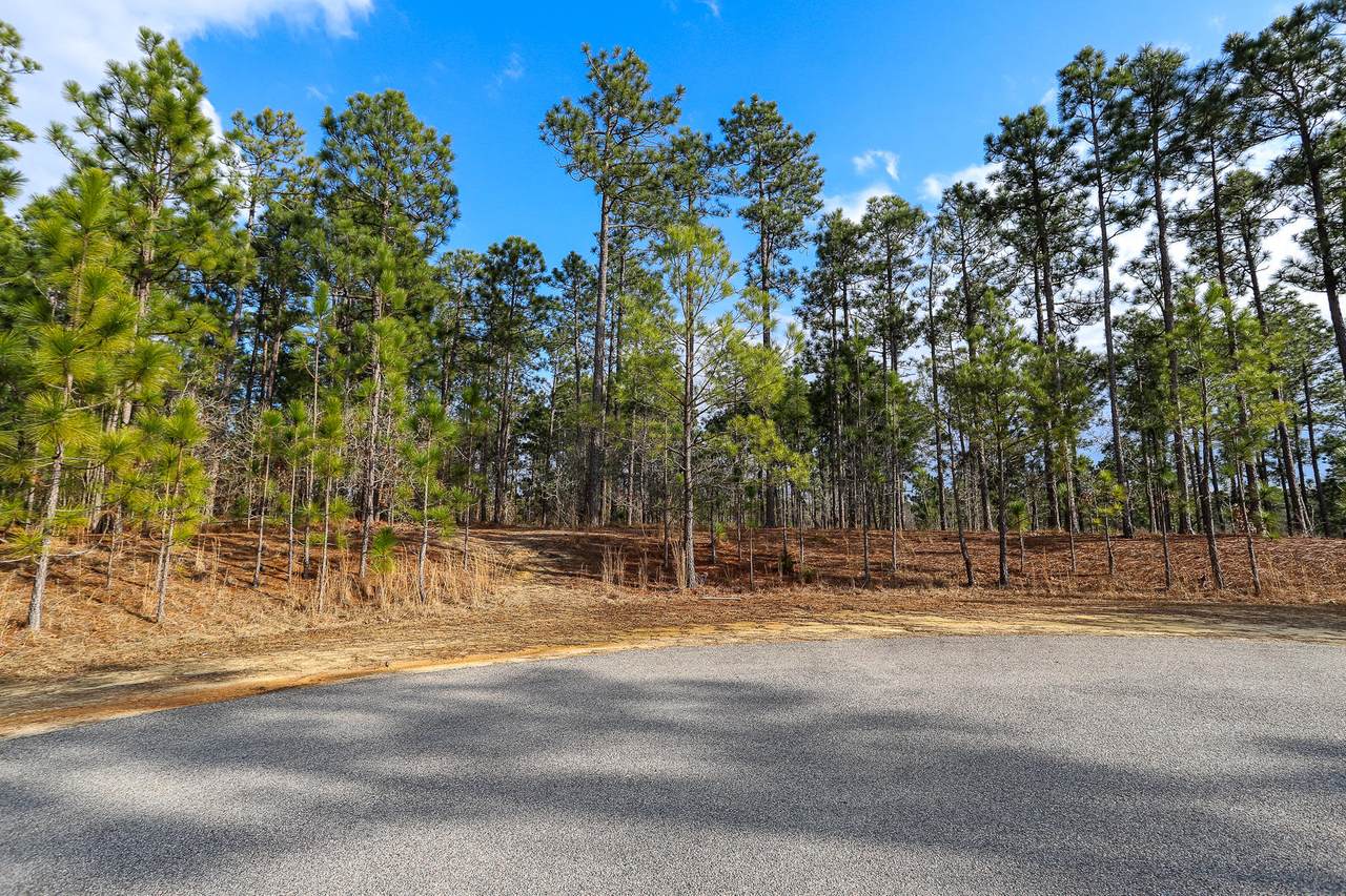 145 Ziegler Court - Photo 1
