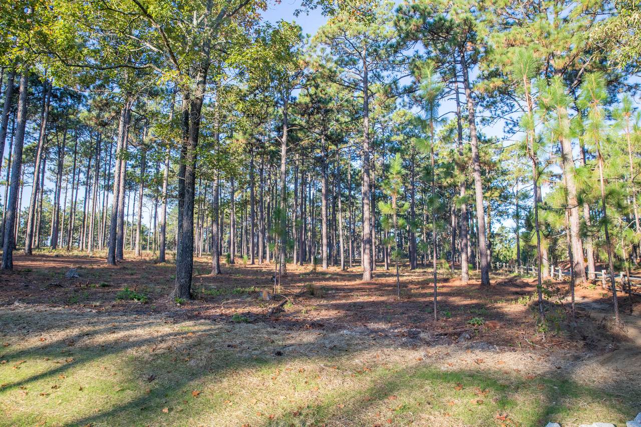 Lot 10 Pixie Moss Lane - Photo 1