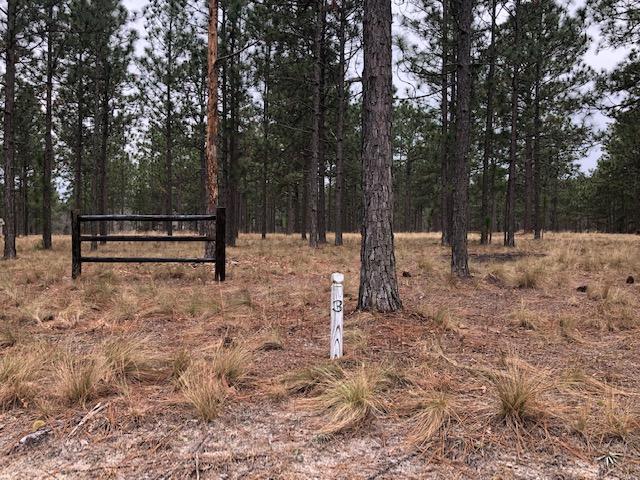 284 Fox Box Road - Photo 1