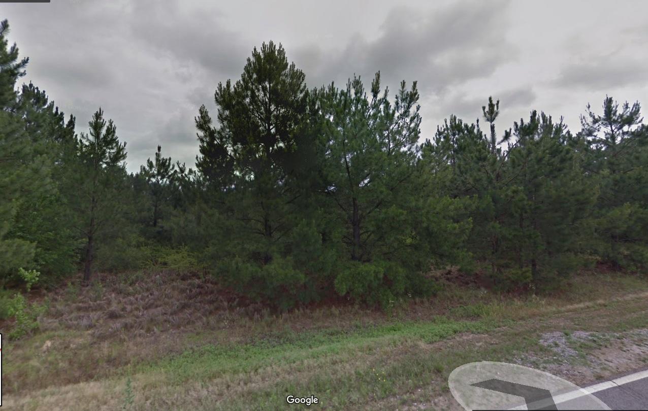 190 Clayton Carriker Road - Photo 1
