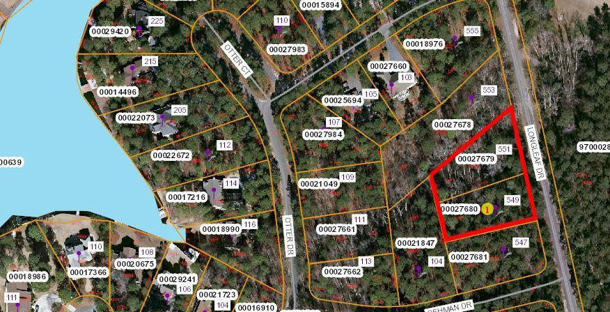549 Longleaf Drive - Photo 1