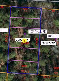 103 Paul Road - Photo 1