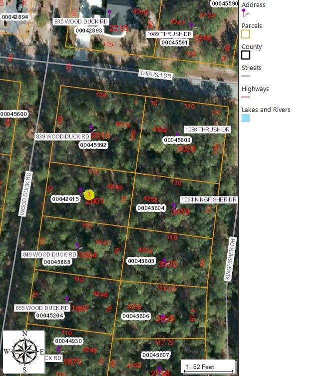 843 Wood Duck Road - Photo 1