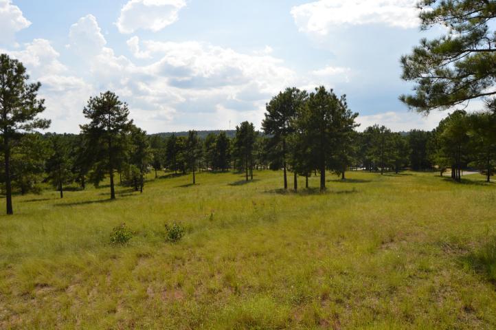 780 Broken Ridge Trail - Photo 1