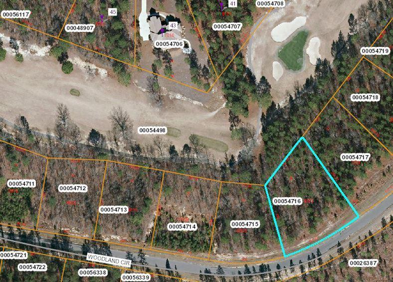Tbd Woodland Cir - Photo 1