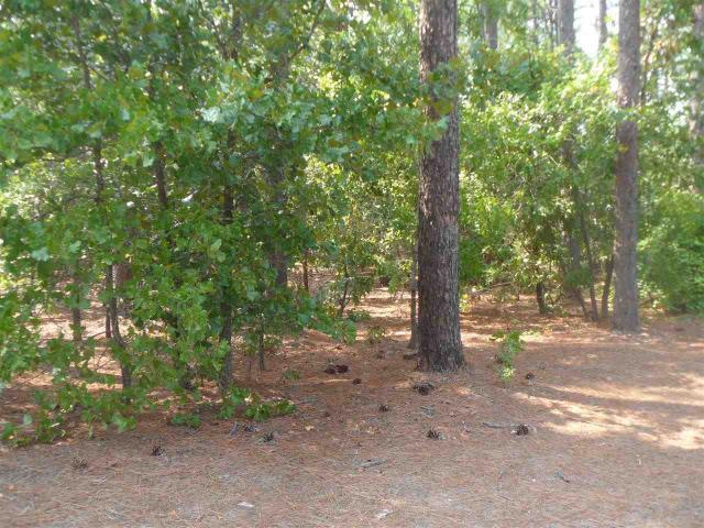 Tbd Summer Creek Trail - Photo 1