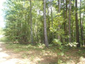 121 State Lane - Photo 1
