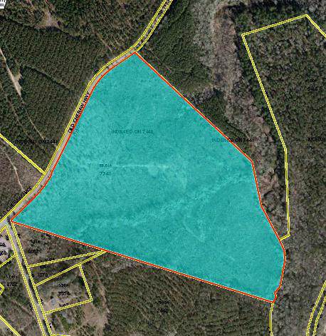 Tbd Old Cheraw Hwy - Photo 1