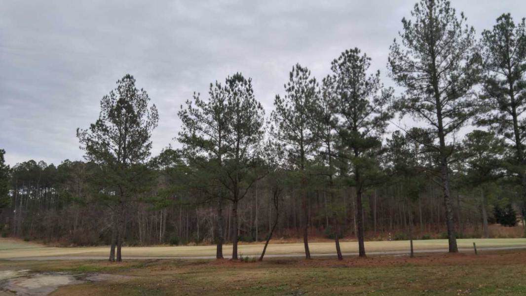 Tbd Deercroft Drive - Photo 1