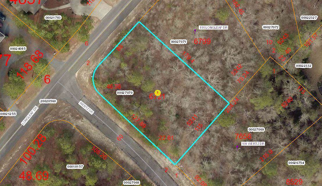 193 Longleaf Drive - Photo 1