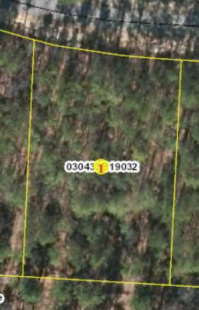 Lot 32 Wildlife Lane - Photo 1