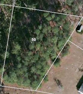 50 Pine Oak Lane - Photo 1
