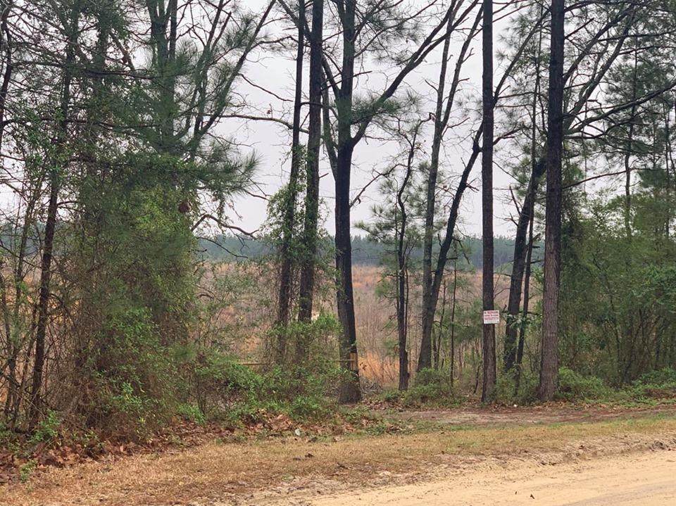 349 R Sands Road - Photo 1